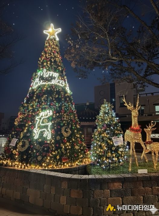 금산군 우체국사거리 연말연시 트리