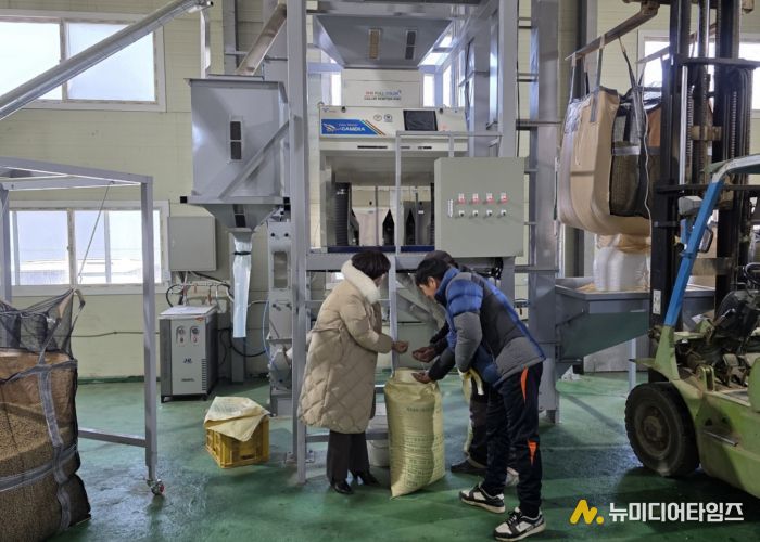 고품질 경기콩, 색채선별기로 품질과 효율 ‘두 마리 토끼’ 잡다