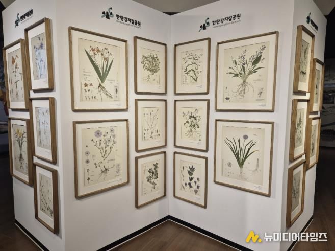 포천시, 한탄강의 아름다운 색채를 담은 압화 전시 개최