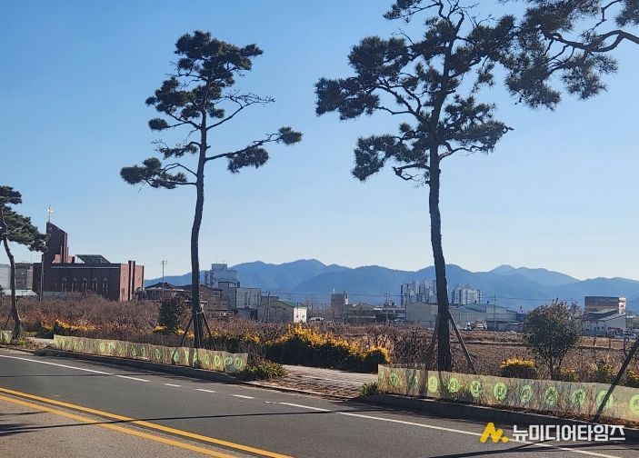 월동거적 설치 모습