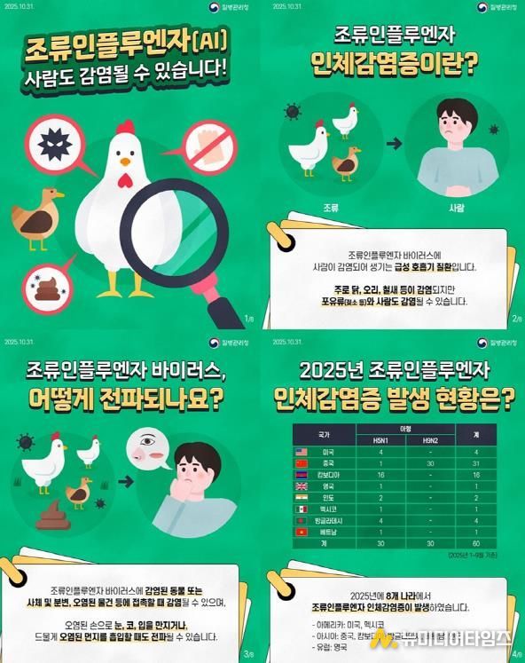 파주시, 조류인플루엔자 감염 예방을 위한 주의 당부