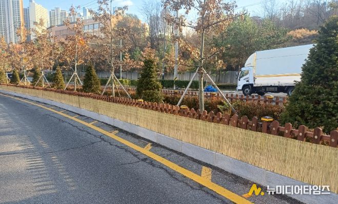 겨울철 강풍·한파 대비 가로녹지 보호 작업