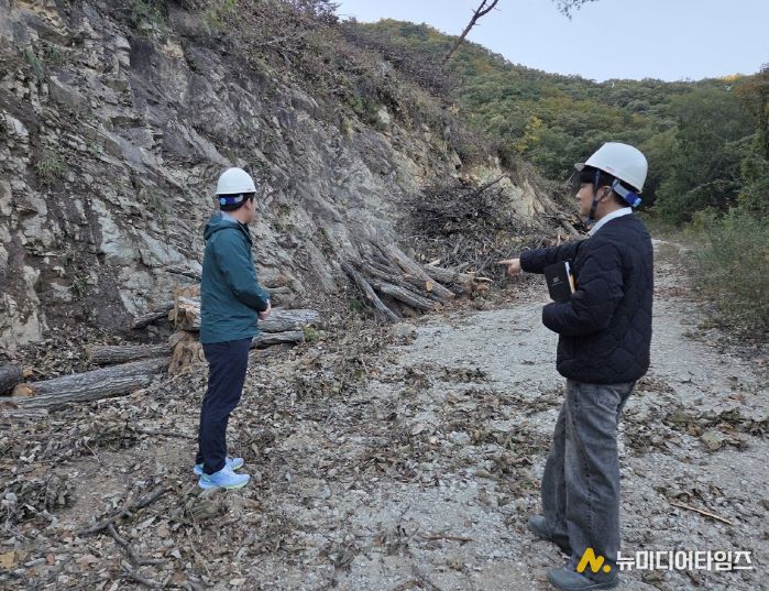 벌채지 점검 모습