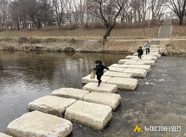 성남시 분당구 구미동 성남물빛공원~무지개마을 잇는 탄천 징검다리