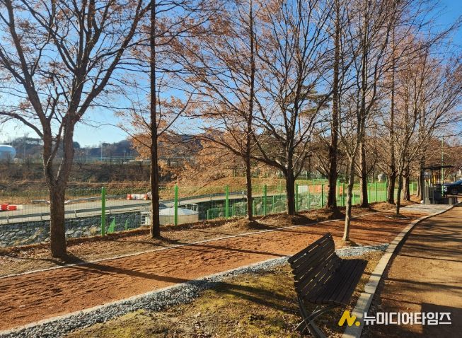 영월군 스포츠파크 맨발걷기 길 조성