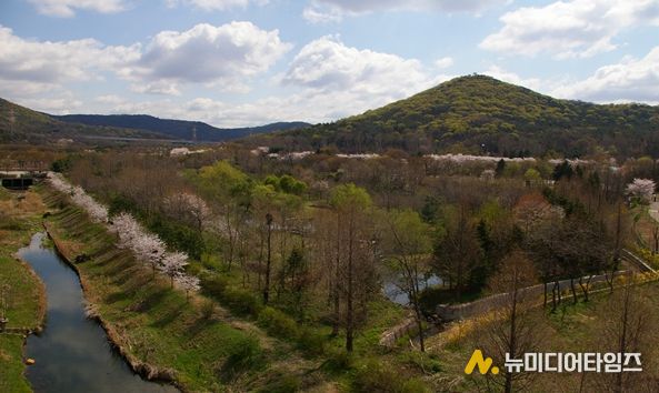 도란도란 유아숲체험원 개방 지역