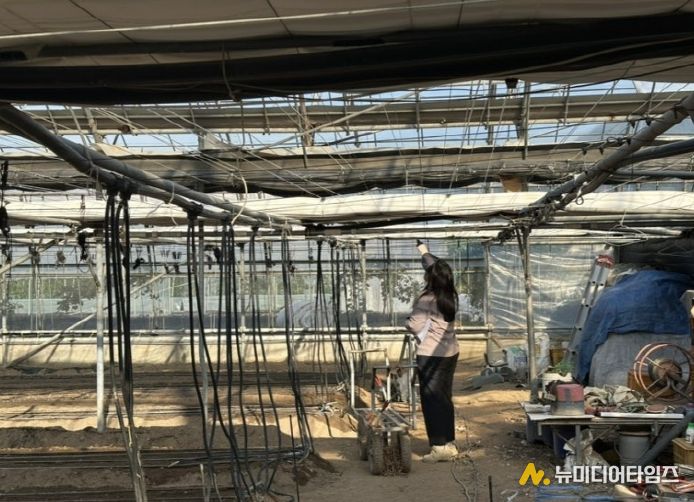 겨울철 화재 예방 대비 시설하우스 점검 실시