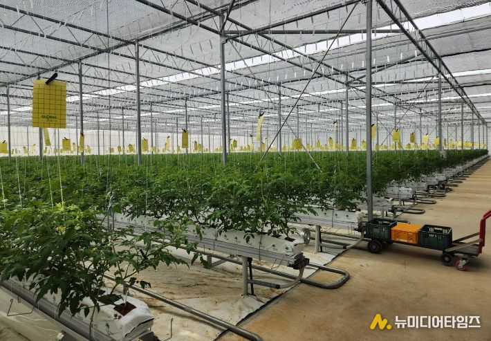 강화군, 올해 농업기술보급에 64억 투입… 첨단농업 전환 속도