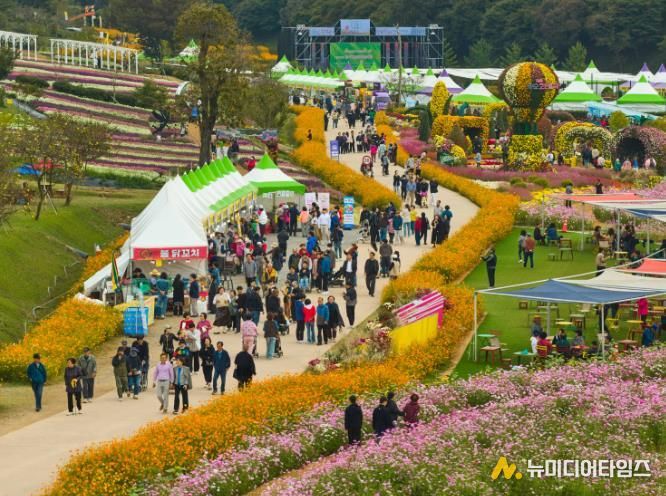 2025 화순 고인돌 가을꽃 축제장 전경