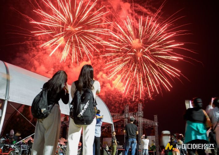 증평인삼골축제, ‘도 지정