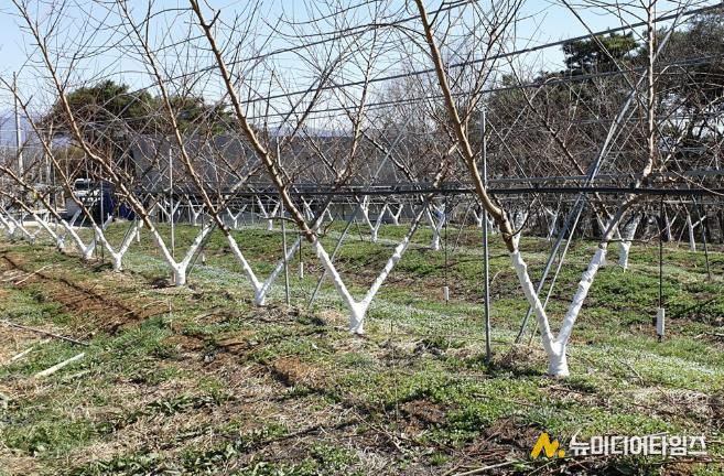 수성 페인트 도포 사진