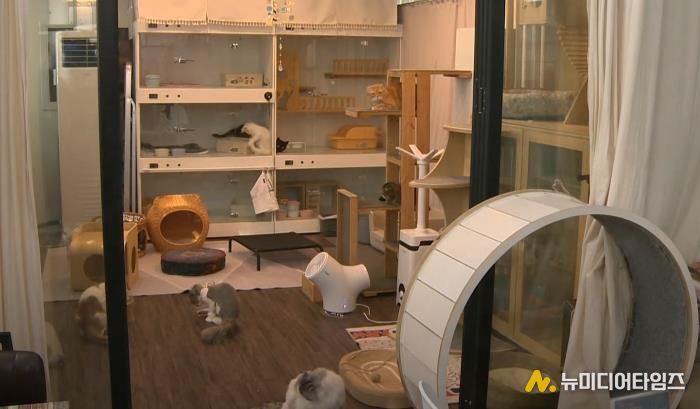 '우리동네 펫위탁소’에서 반려동물들을 위탁 보호하고 있는 모습