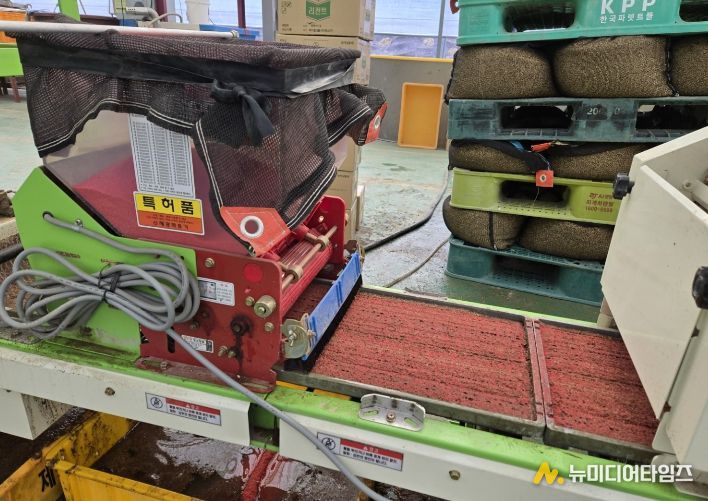 강화군,“벼 병해충 방제 약제 지원 신청하세요”