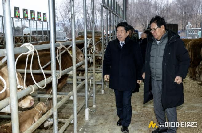 제천가축시장 방문 사진