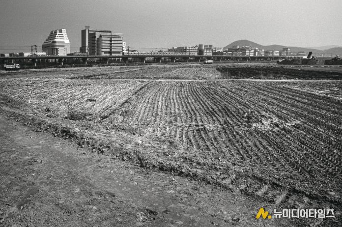1995년도 고잔뜰 전경, 현재는 고잔신도시가 조성되어 아파트 단지로 변모했다.