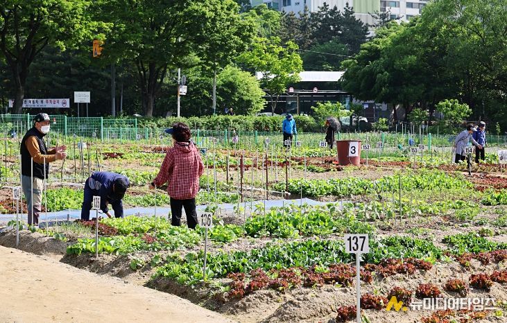 남동구, 2026년 남동 실버농장 참여자 모집(실버농장)