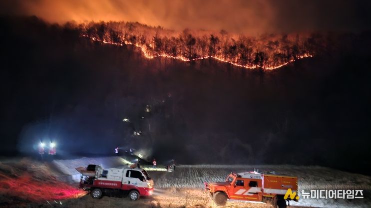 예산군 대술면 산불