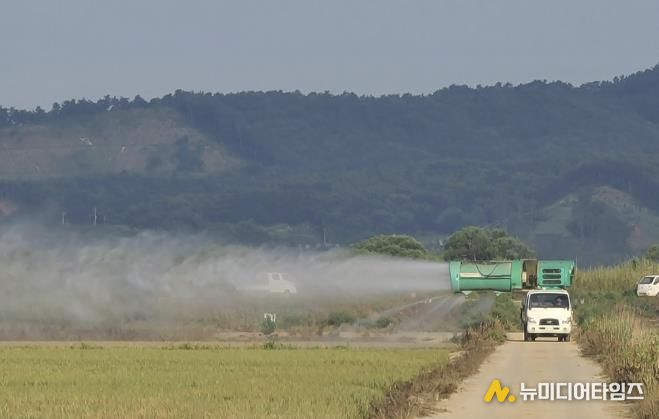 벼에 방제 약제가 살포되는 모습