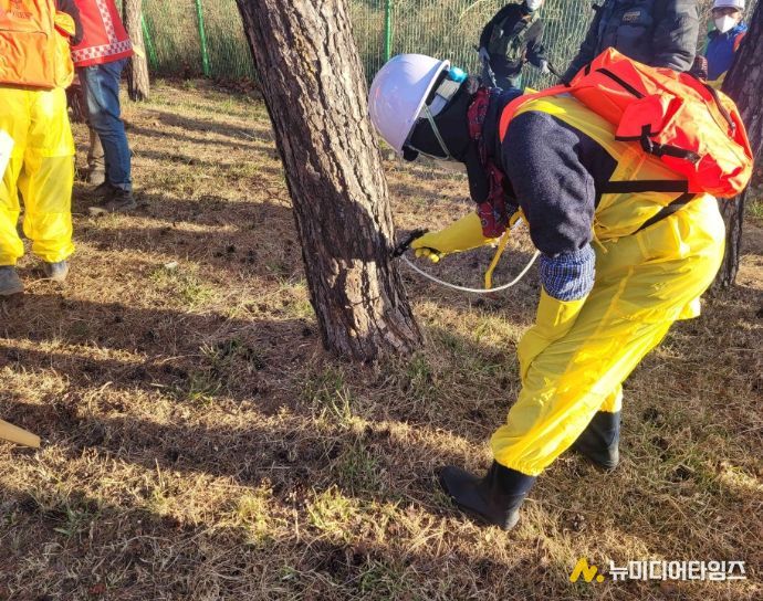 상반기 소나무재선충병 예방사업 추진..255ha 집중 관리