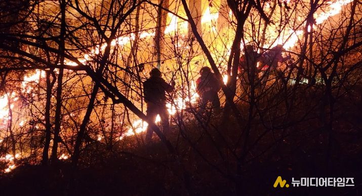 대강면 장림리 산10-1번지 산불 진화 현장