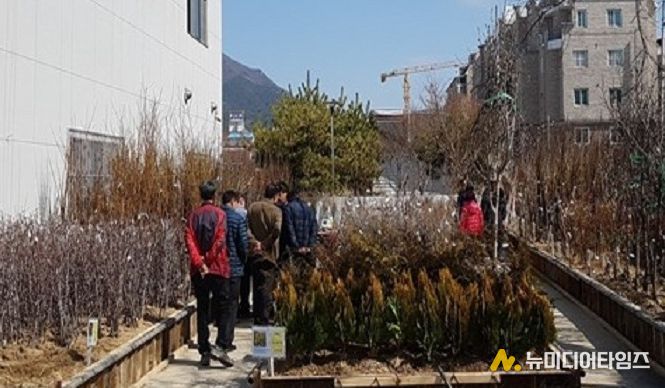 고창군산림조합, 2026년 나무시장 개장