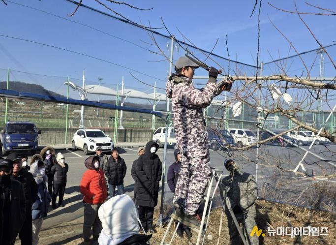 충주시농기센터, 복숭아 정지전정 현장교육 성료