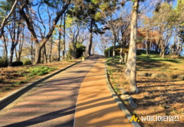 고성군, 남산공원 봄맞이 공원시설 정비 추진(코르크바닥길)