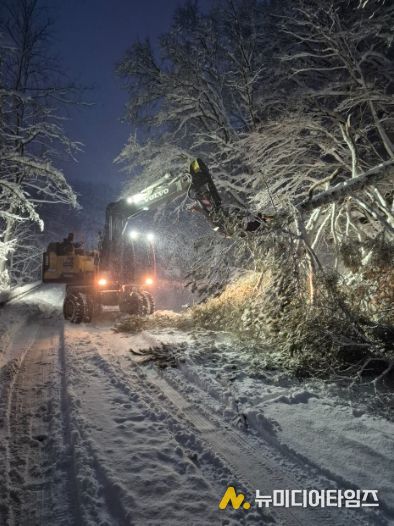 평창군, 대관령 39.2cm 폭설 완벽 대응