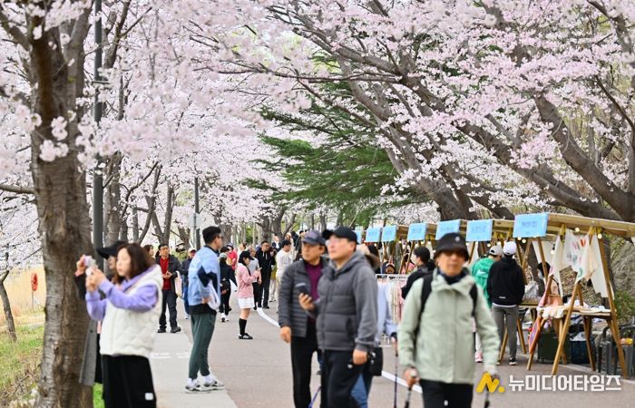 속초시, 2026 영랑호 벚꽃축제 먹거리·플리마켓 참가자 공개 모집