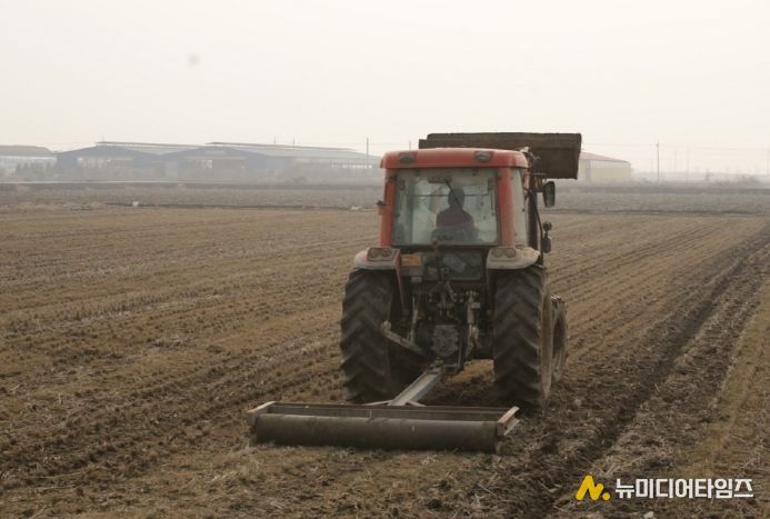 충북농기원, 봄철 사료작물 ‘눌러주기’로 생산량 15_ 증대(동계사료작물 진압관리)