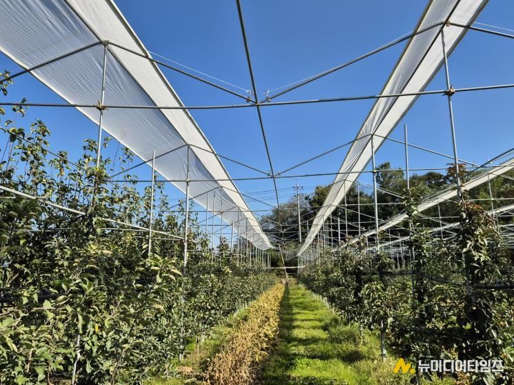 보은군, 스마트농업특화지구 육성사업 본격 추진