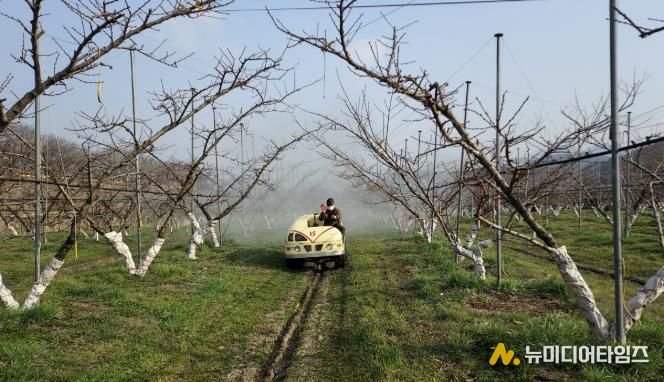 월동 병해충 방제 사진