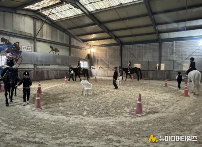 용인특례시가 '학생승마체험' 참가자를 모집한다