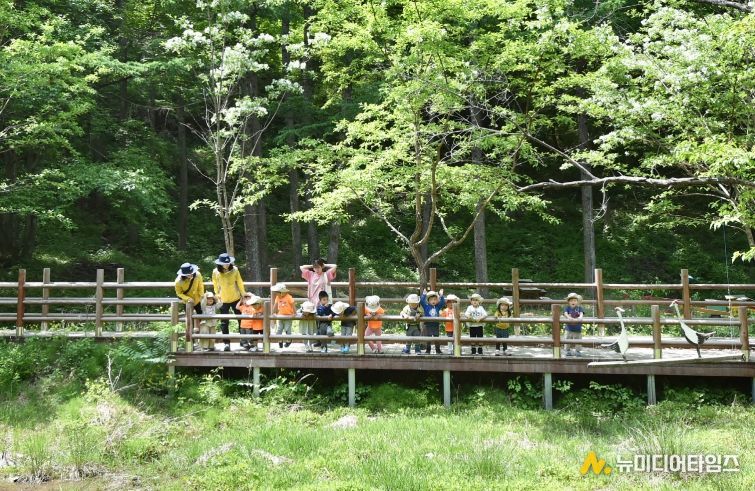 산소카페 청송군, 2026 산림정책 발표-유아숲 운영