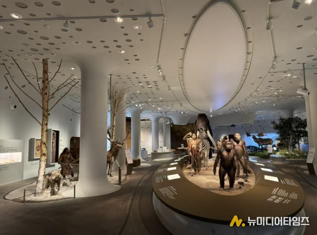 경기문화재단 전곡선사박물관, 상설전시실 전면 개편…42cm '초대형 주먹찌르개' 최초 공개