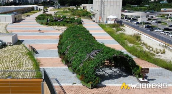 남촌농산물도매시장 옥상텃밭 프로그램 참여자 모집