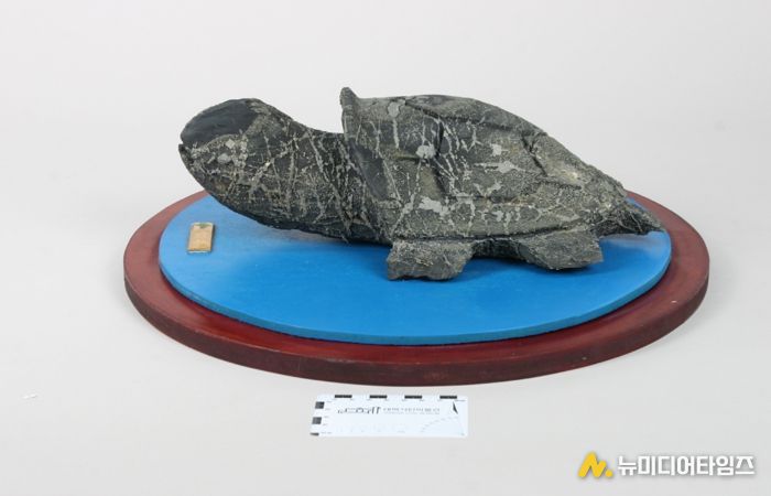 태백석탄박물관, 유물 기증으로 운영 활성화 기대