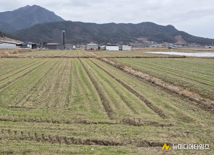 봄철 맥류 관리 ‘골든타임’…구미시, 현장 기술지원 강화배수로