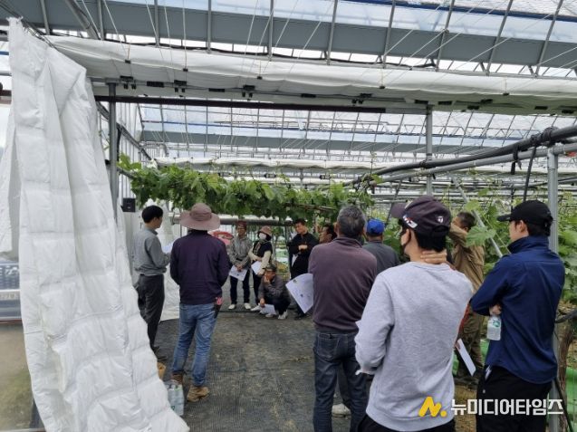 영동군, 스마트팜 ICT 활용 교육으로 농가 경쟁력 강화!
