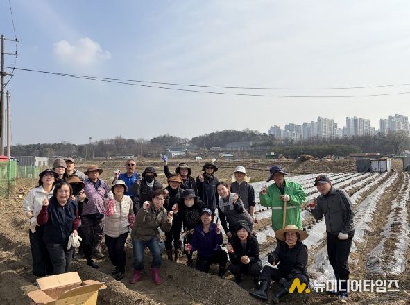 오산시 대원2동 통장협의회, ‘사랑의 감자심기’로 이웃사랑 실천