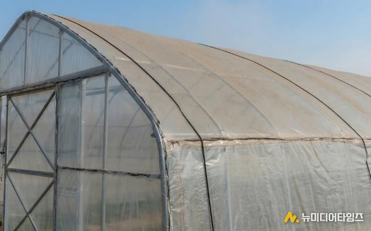 시설하우스 위 미세먼지·황사 사진