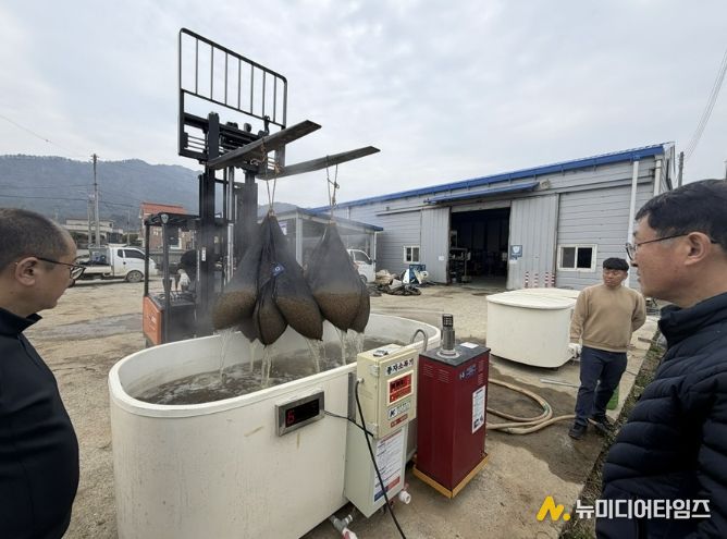 볍씨 종자 10kg 단위 10포대를 온탕소독기에 담가 소독하고 있다.