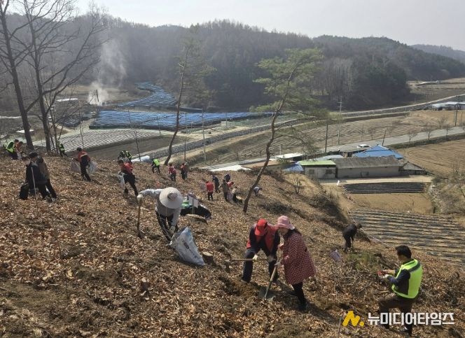봉화군, 제81회 식목일 나무심기행사 개최