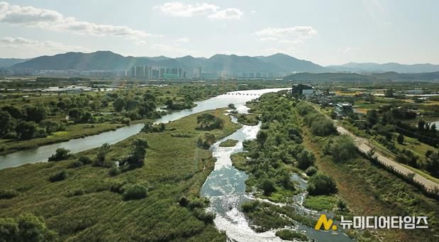 대구 동구청은 기후위기를 살아갈 미래 세대를 위해 안심습지에서 탄소중립 생태체험 학습을 운영한다. 안심습지 전경사진
