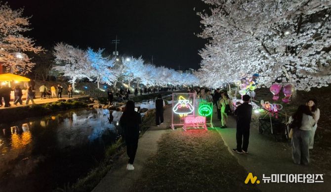 1. 밤 벚꽃이 만개한 원성천 일대를 찾은 시민들이 봄밤의 정취를 즐기고 있다.