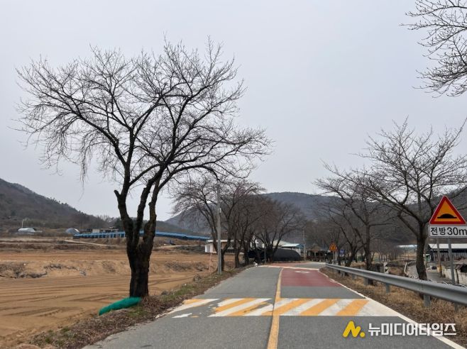 군북면 자징뱅이길 및 산꽃로