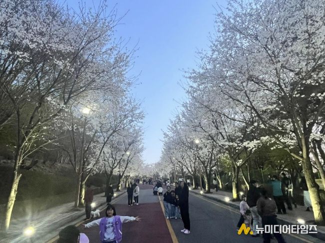 2026년 동두천 자유수호평화박물관 벚꽃맞이 야간개장, 성황리 개최