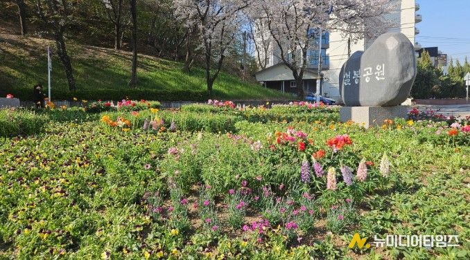 이천시, 설봉공원 봄맞이 초화류 식재 완료