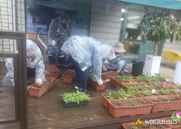 고양시 화정1동, 봄맞이 초화식재 실시