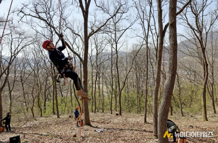 교육생 김강우 씨가 로프와 장비를 이용해 나무에 오르는 모습